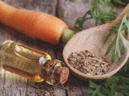 Huile de carotte: huile riche en bêta-carotène et en vitamines protège notre épiderme et favorise son éclat