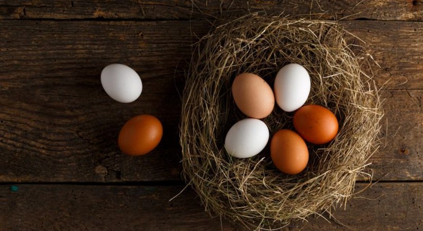 8 astuces merveilleuses avec des œufs a ne pas rater !