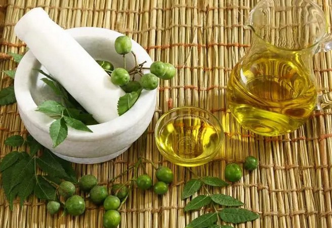 Les bienfaits de l'huile de neem pour les cheveux et la peau