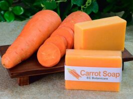 Savon du carotte: Bienfaits beauté et recette de préparation
