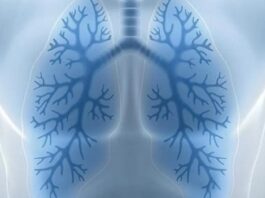 4 conseils pour nettoyer naturellement vos poumons