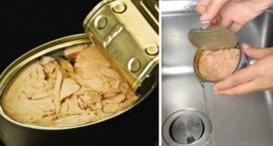 Pourquoi il faut arrêter de jeter de l’huile de boîte de thon dans l’évier ?