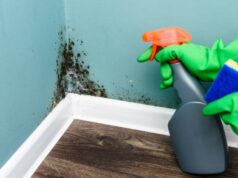 Une recette efficace de spray anti-moisissures avec seulement trois ingrédients