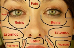 Carte du visage chinoise : quand les problèmes de peau révèlent l’état des organes vitaux du corps